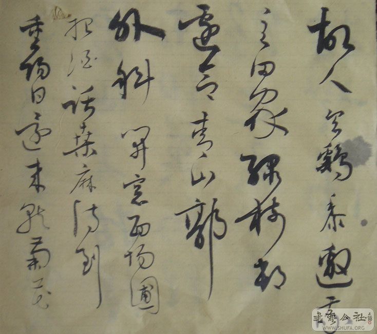 P1010045.JPG