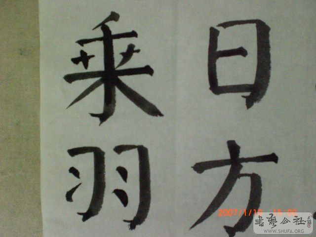 CIMG0752.JPG