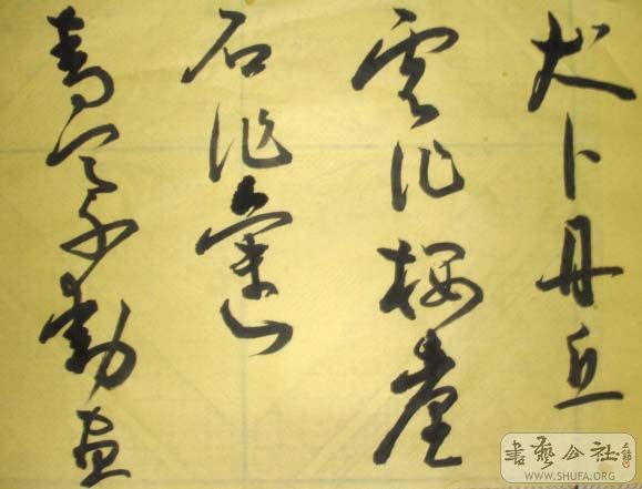 DSC02762.JPG