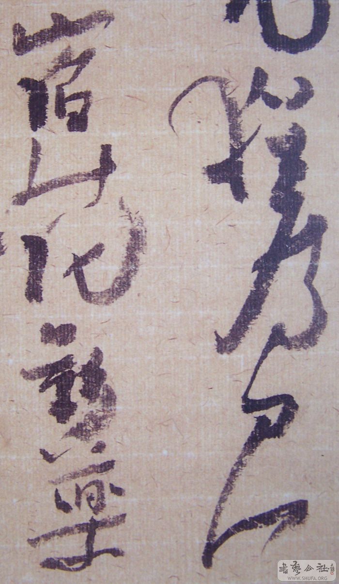 f 003.jpg