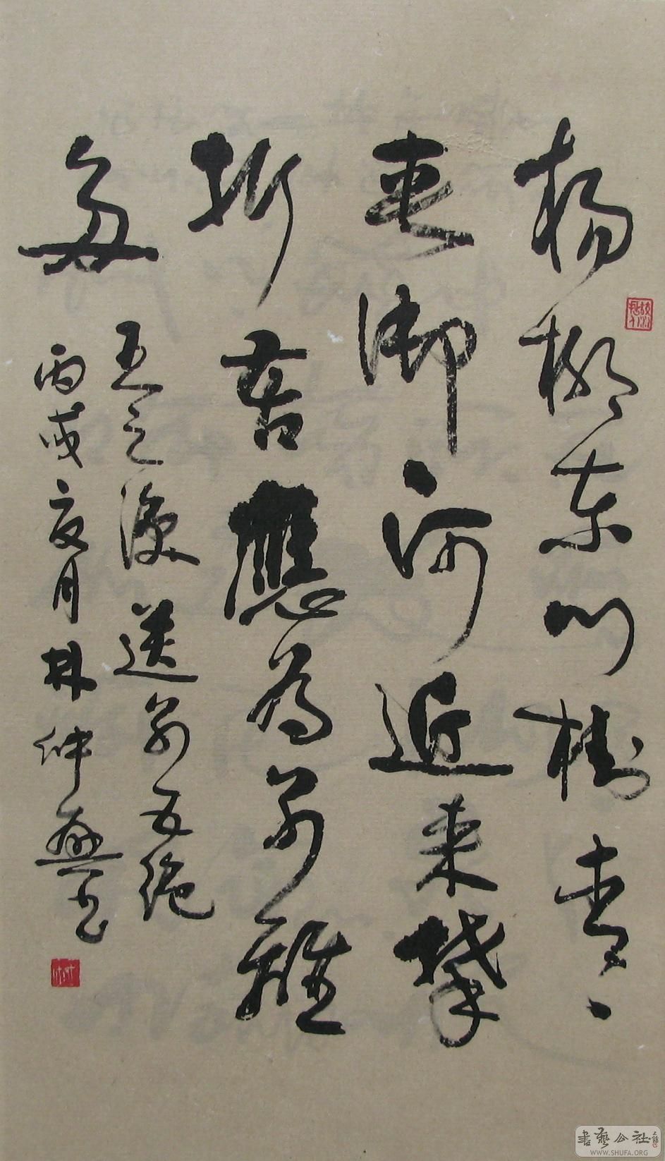 165.JPG