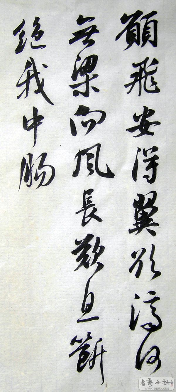 PICT6109.jpg