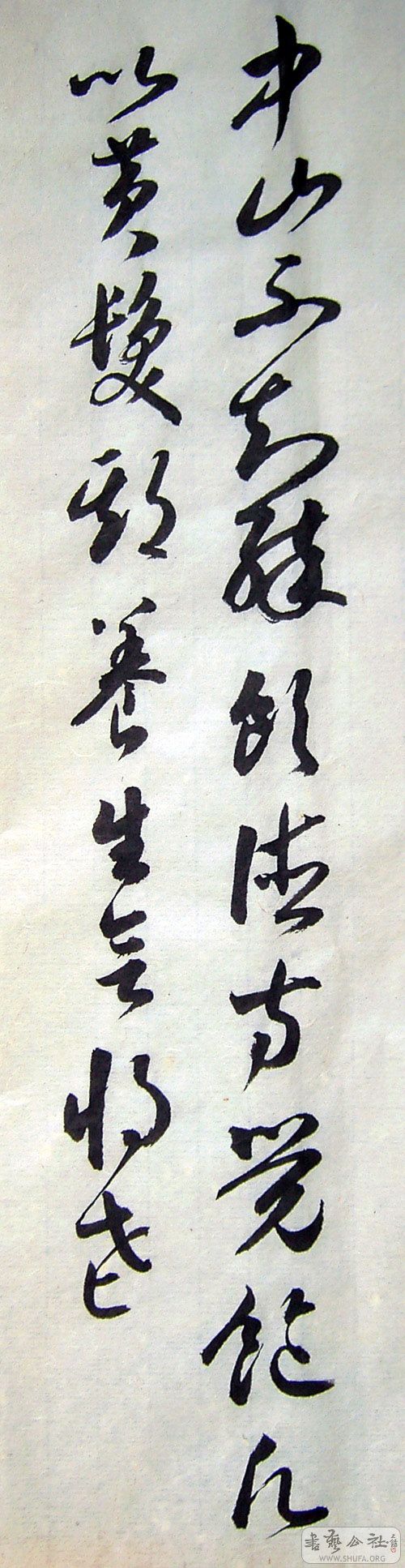 PICT6113.jpg
