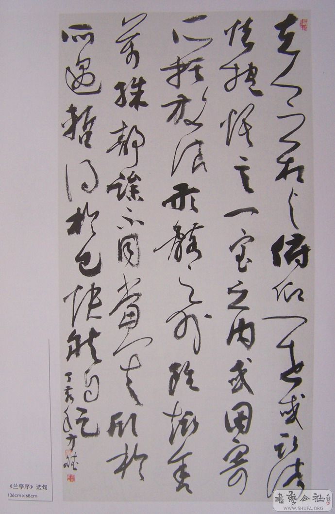 hua 044.jpg