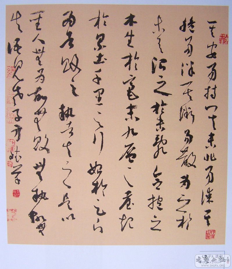 hua 046.jpg