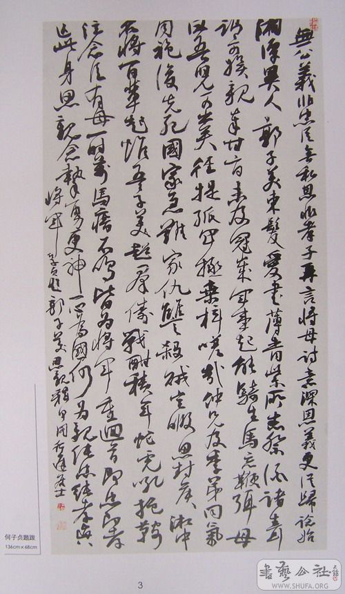 hua 042.jpg