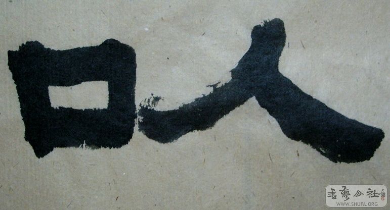 SNV11989.JPG
