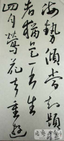 DSC02785.JPG