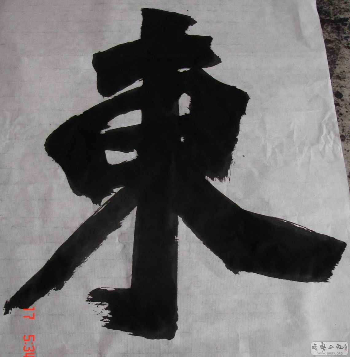 DSC07543.JPG