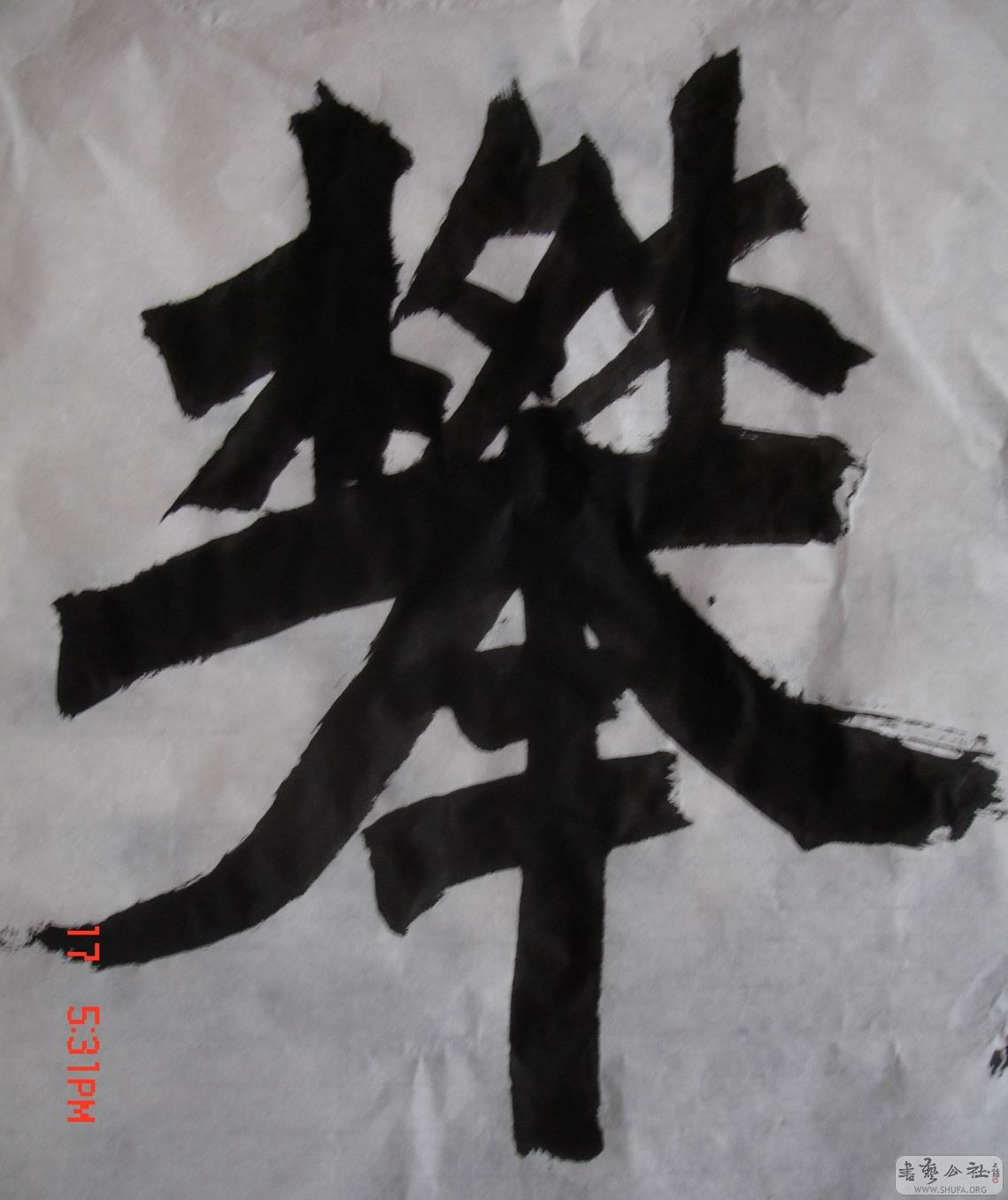 DSC07531.JPG