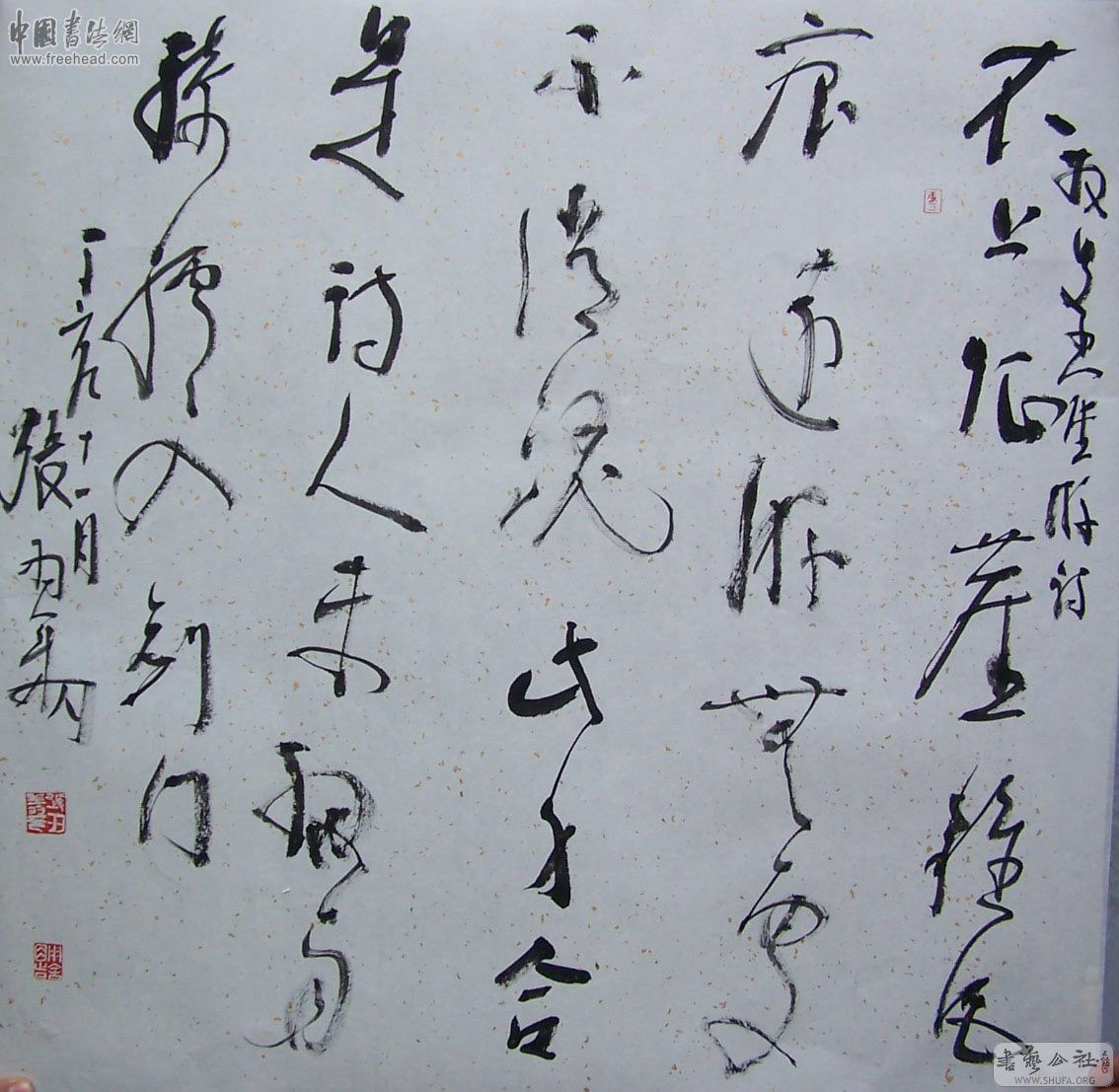 20080416_39b31532edf19fedcda4Sy3ZTUm93tpV.jpg