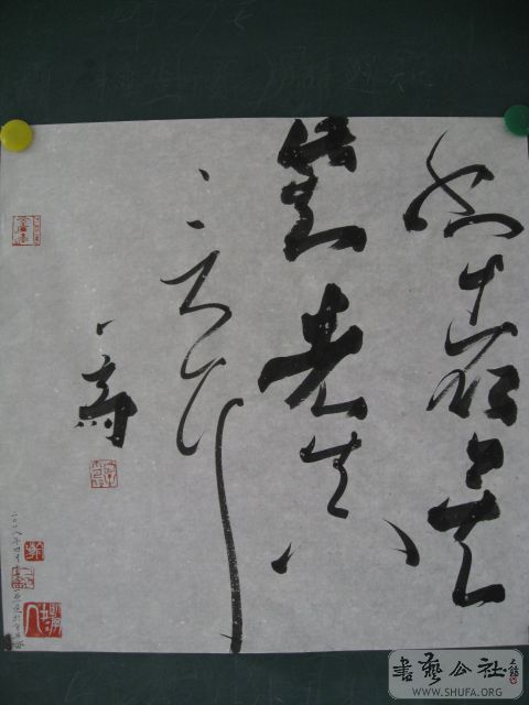 00004
