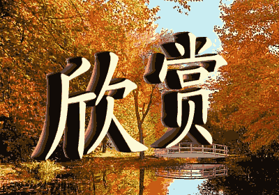 12.gif
