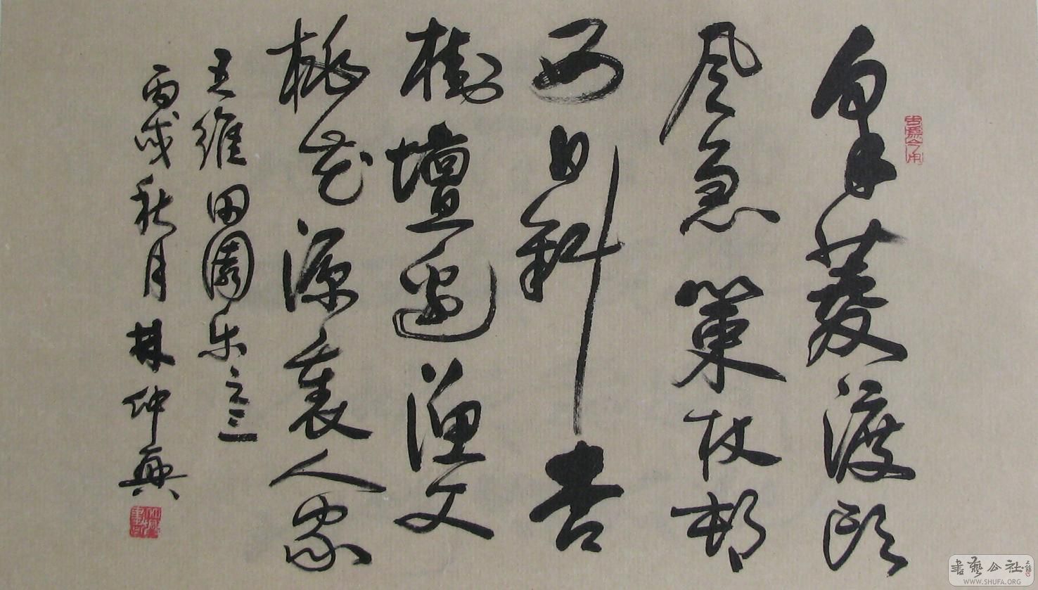 253.JPG