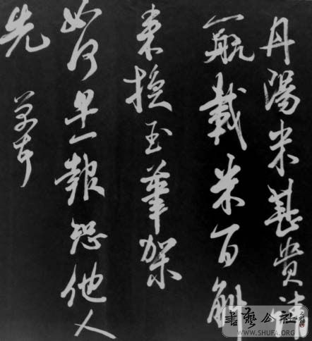 DSC02830.JPG