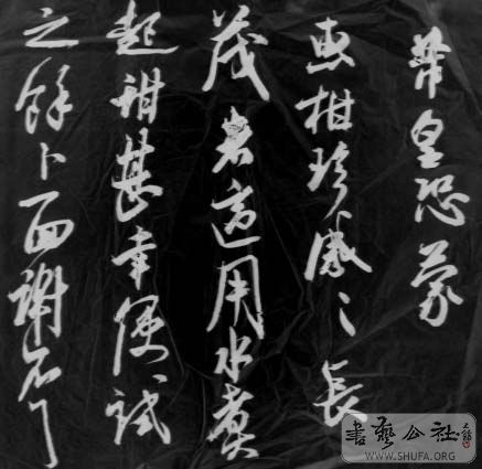 DSC02832.JPG