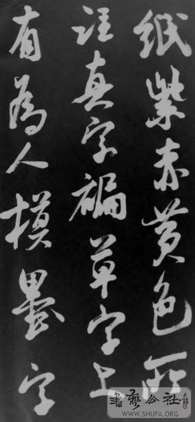 DSC02824.JPG