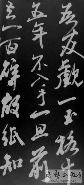 DSC02828.JPG