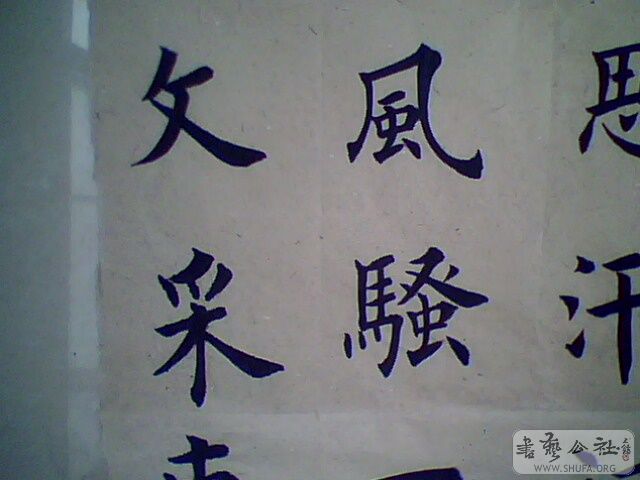 IMG0076A.jpg
