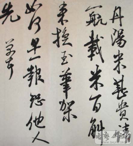 DSC02829.JPG