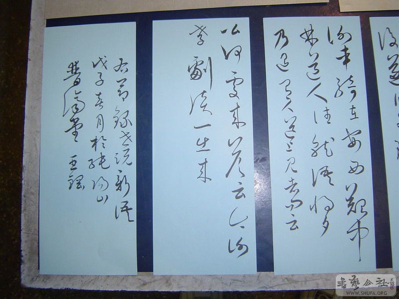 DSC08484.JPG