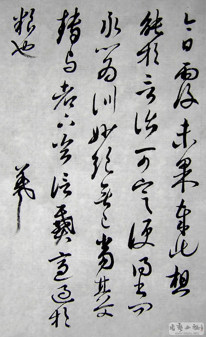 PICT6155.jpg