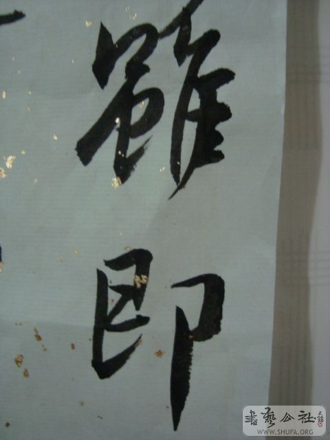 DSC00170.JPG