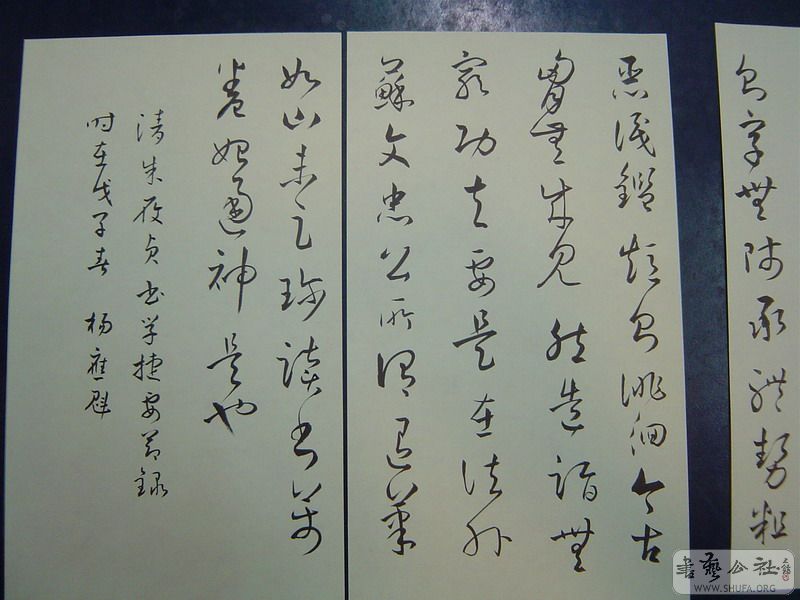 DSC08477.JPG
