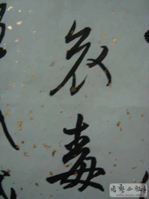 DSC00174.JPG
