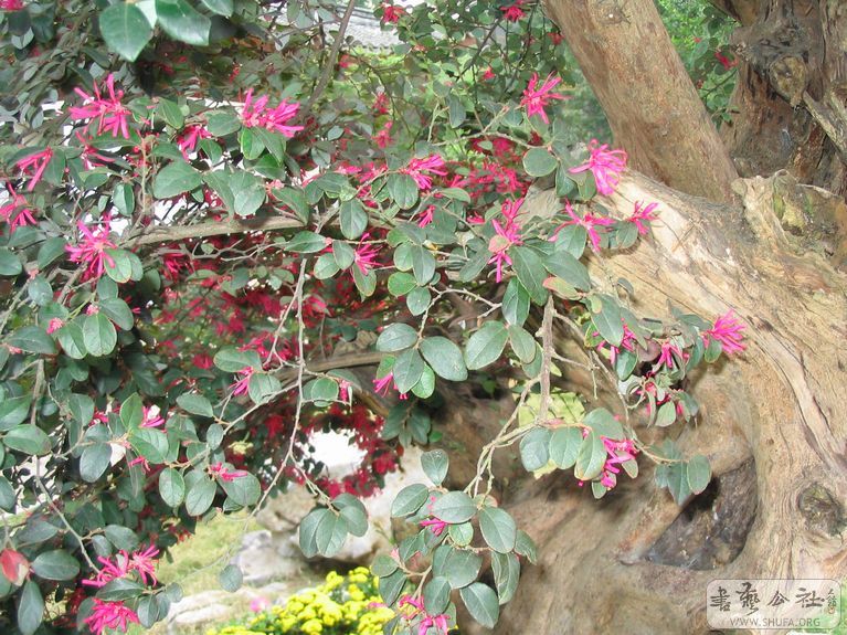 Ƭ 059.jpg