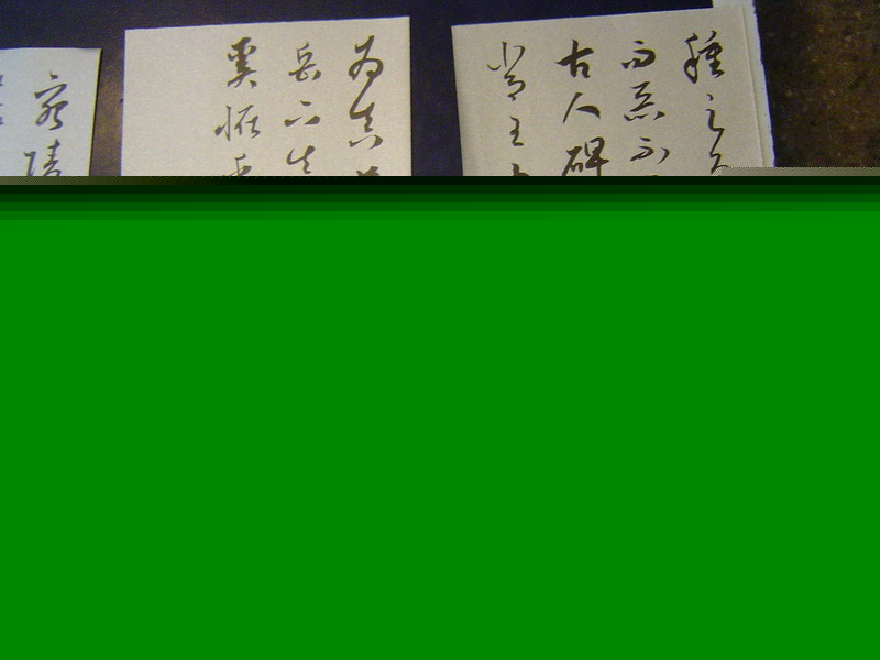 DSC08485.JPG