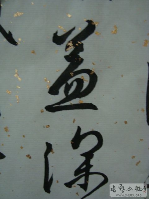 DSC00175.JPG