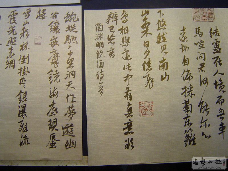 DSC08480.JPG