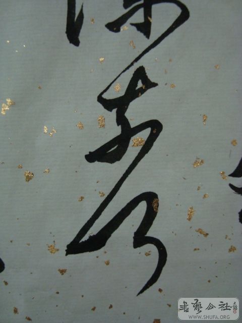 DSC00176.JPG