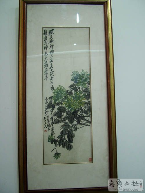 DSCF2672.jpg