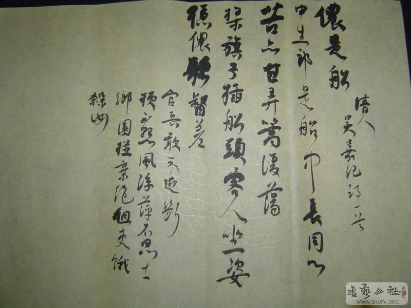 DSC08488.JPG