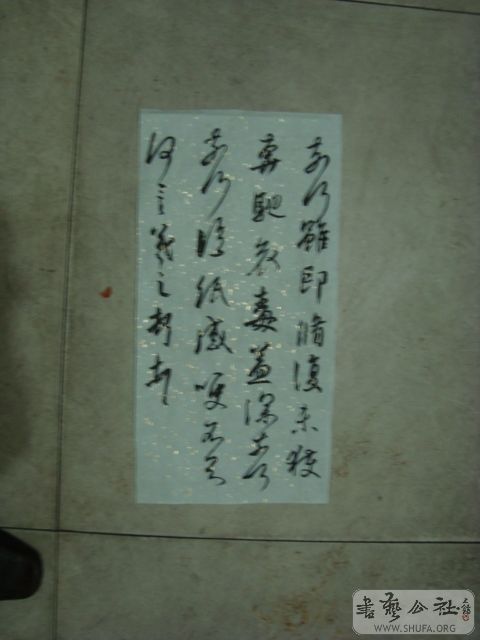 DSC00181.JPG