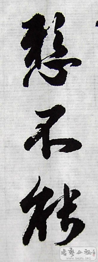 PICT6164.JPG