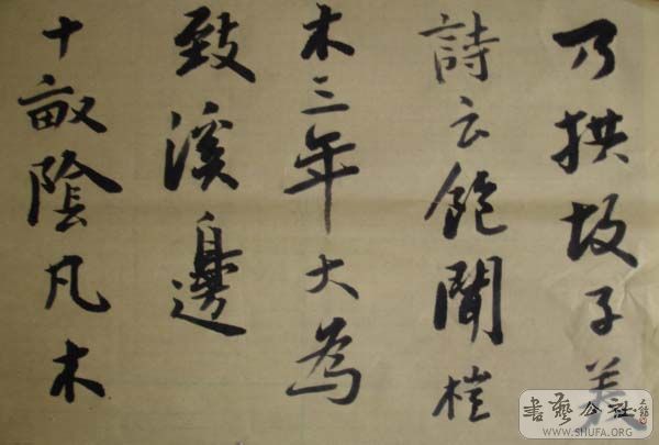 DSC02860.JPG