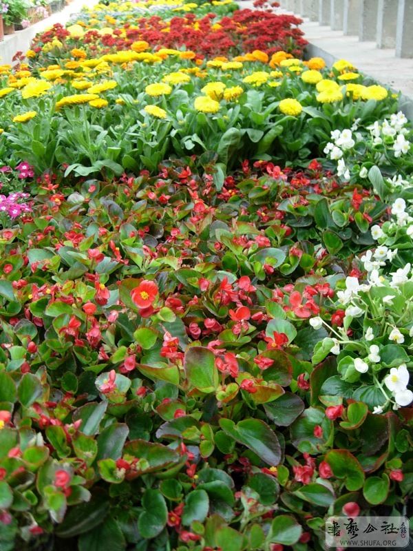 DSCN6510.JPG