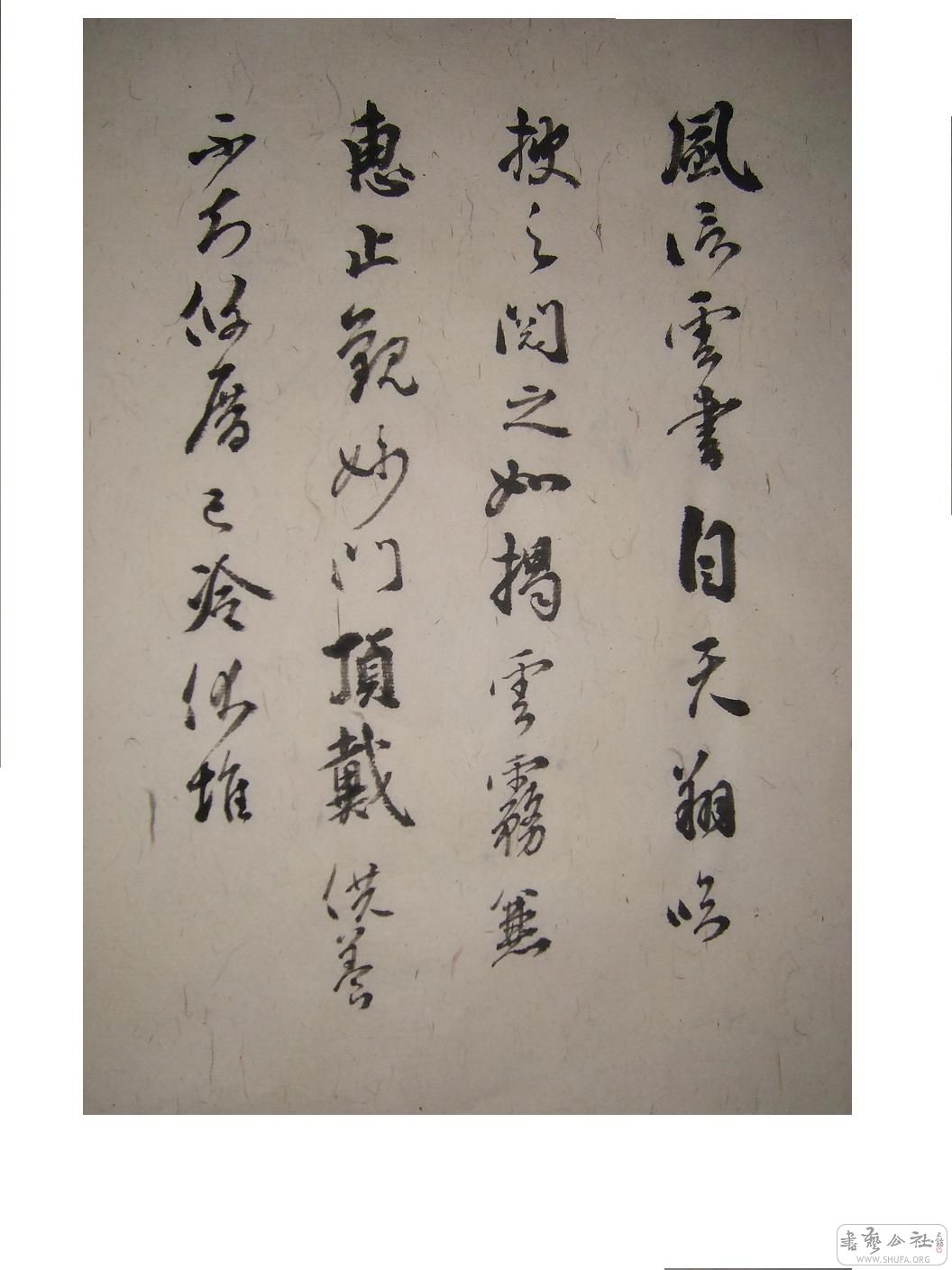 S6001737.JPG
