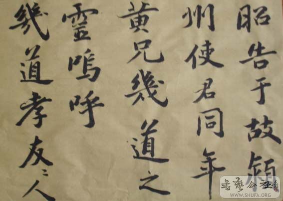 DSC02863.JPG