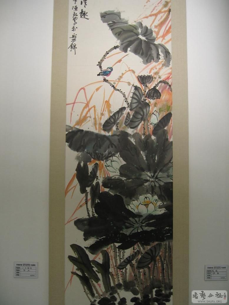 20080423_b02282027ca55cbcdec61W3qA2OIwhCB.jpg