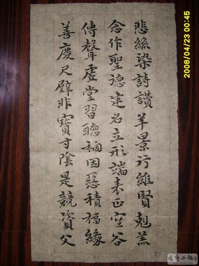 S6001746.JPG