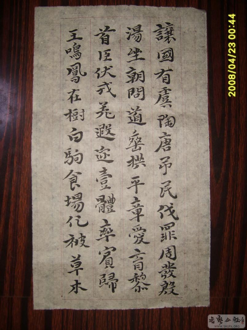 S6001744.JPG