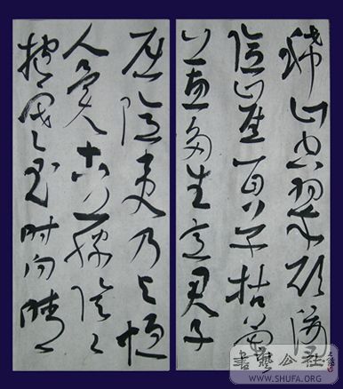 03.jpg