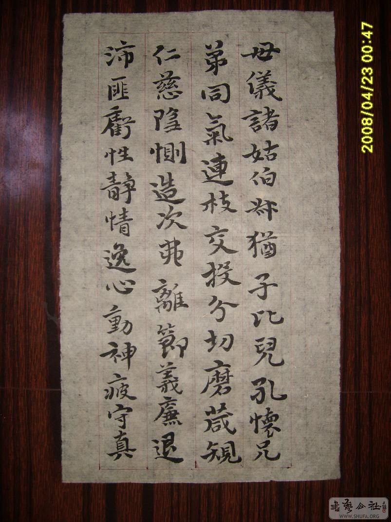S6001750.JPG