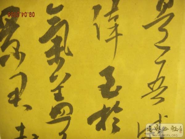 DSCN3035.JPG