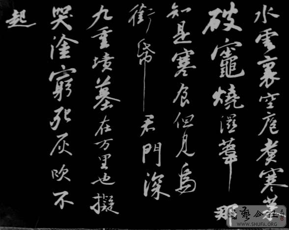 DSC02895.JPG