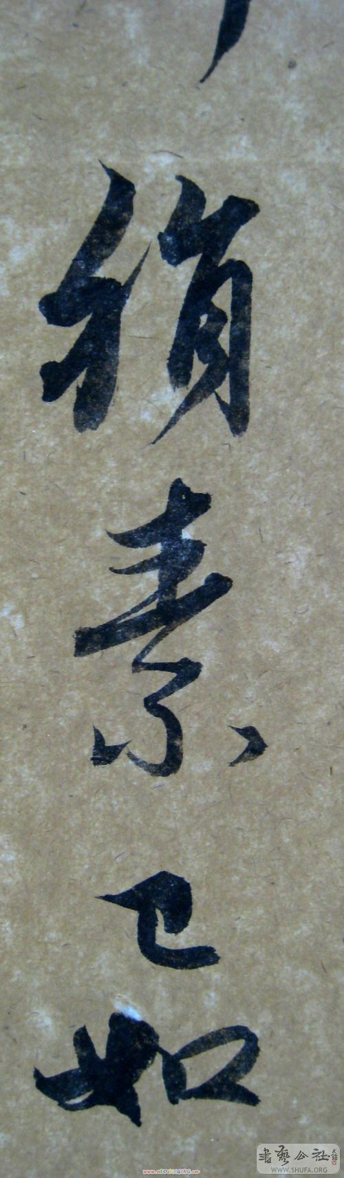 lbl032.jpg